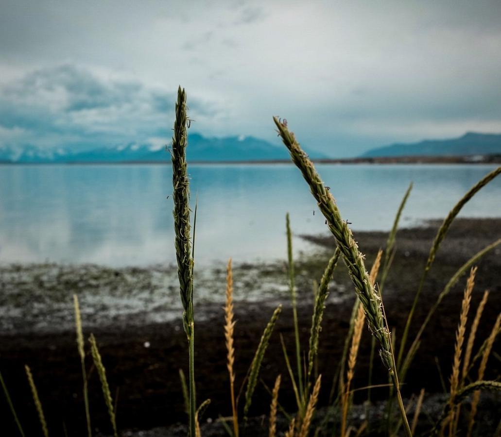 Hostal Boutique Factoria Patagonia プエルト・ナタレス エクステリア 写真